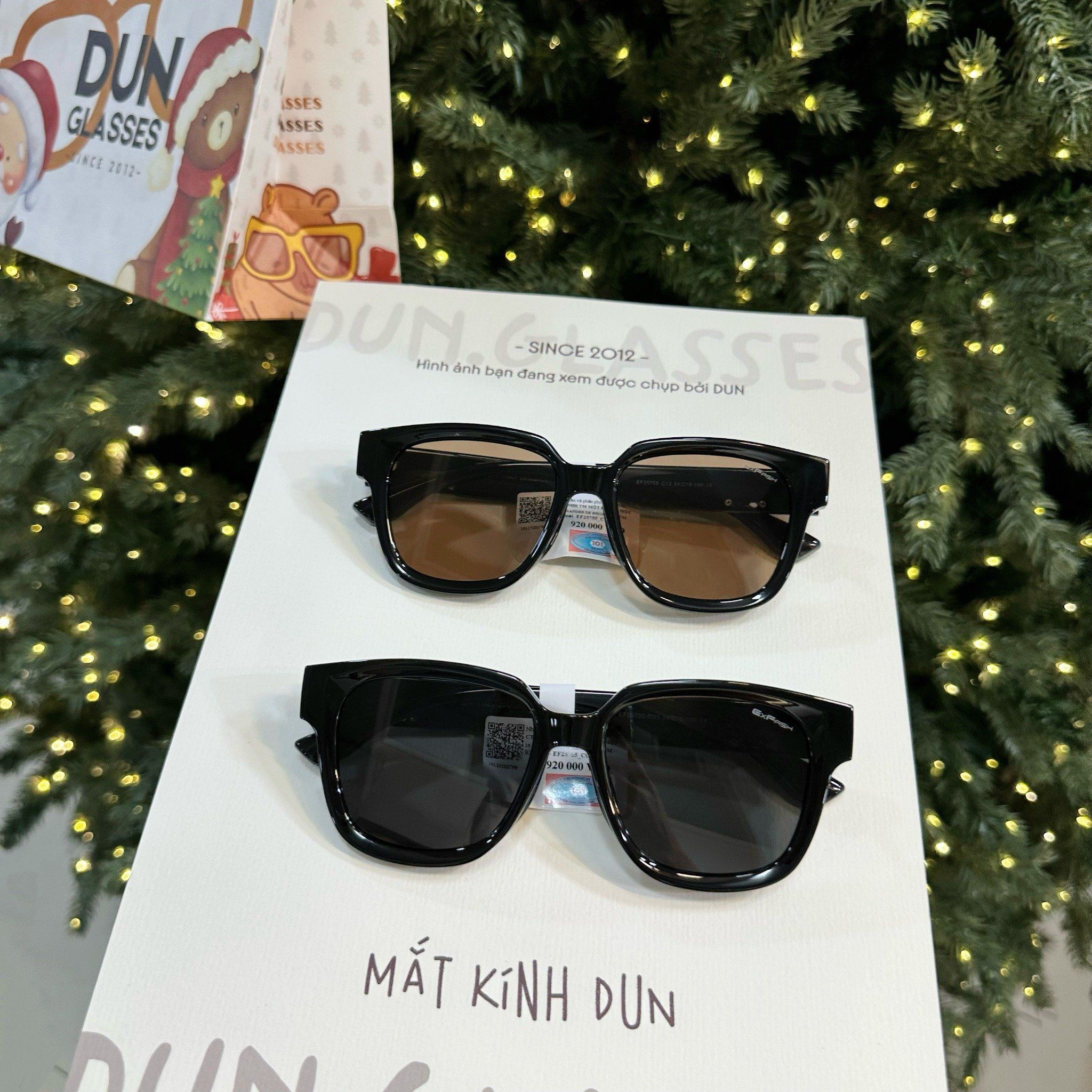  Kính mát Exfash EF 25755 