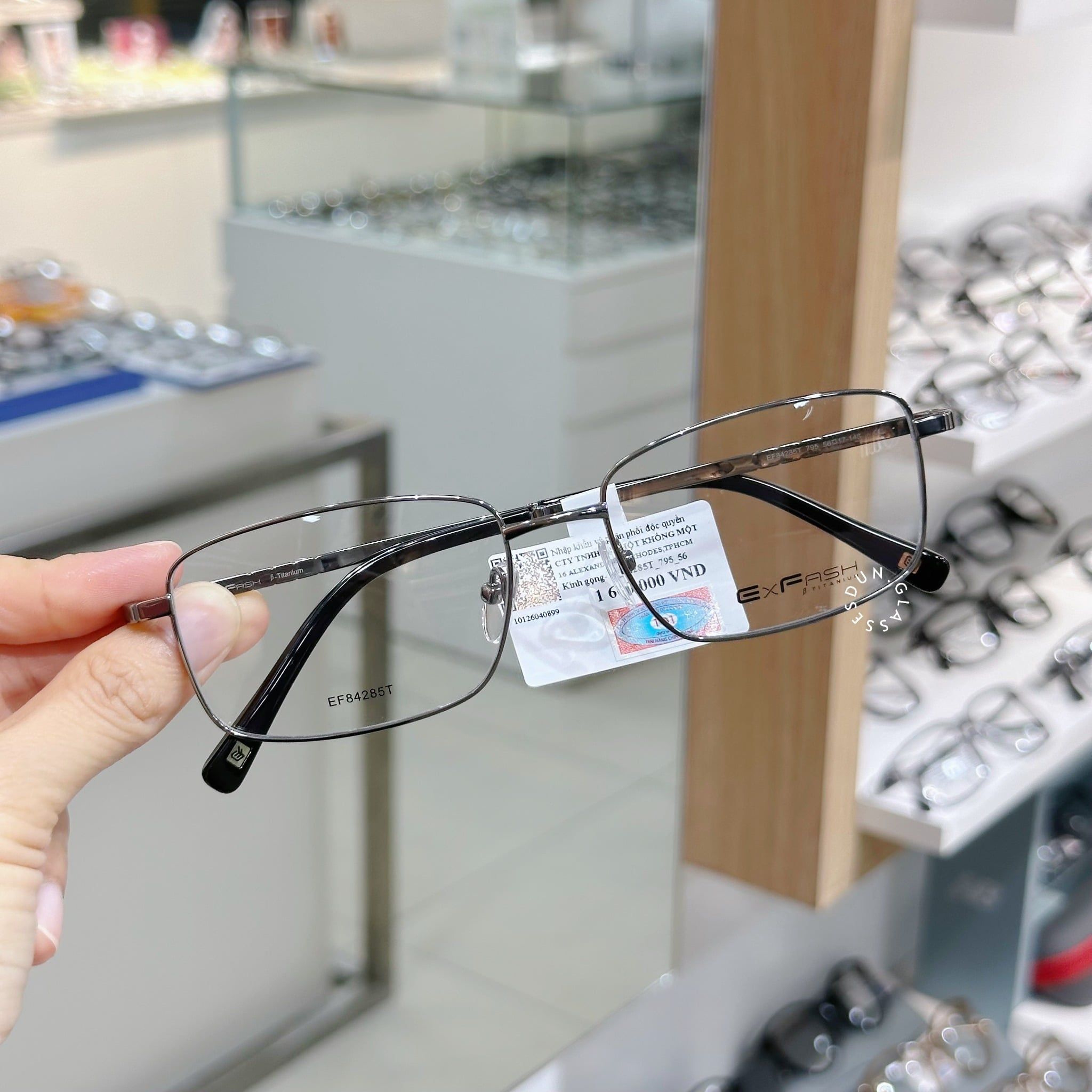  Mắt kính Exfash EF 84285 T 