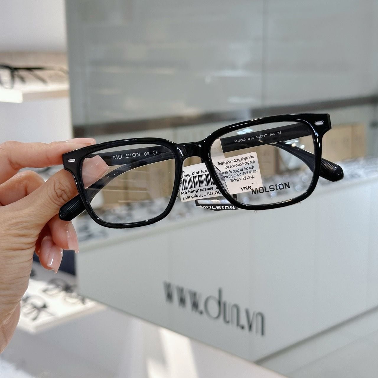  Mắt kính Molsion MJ 3069 