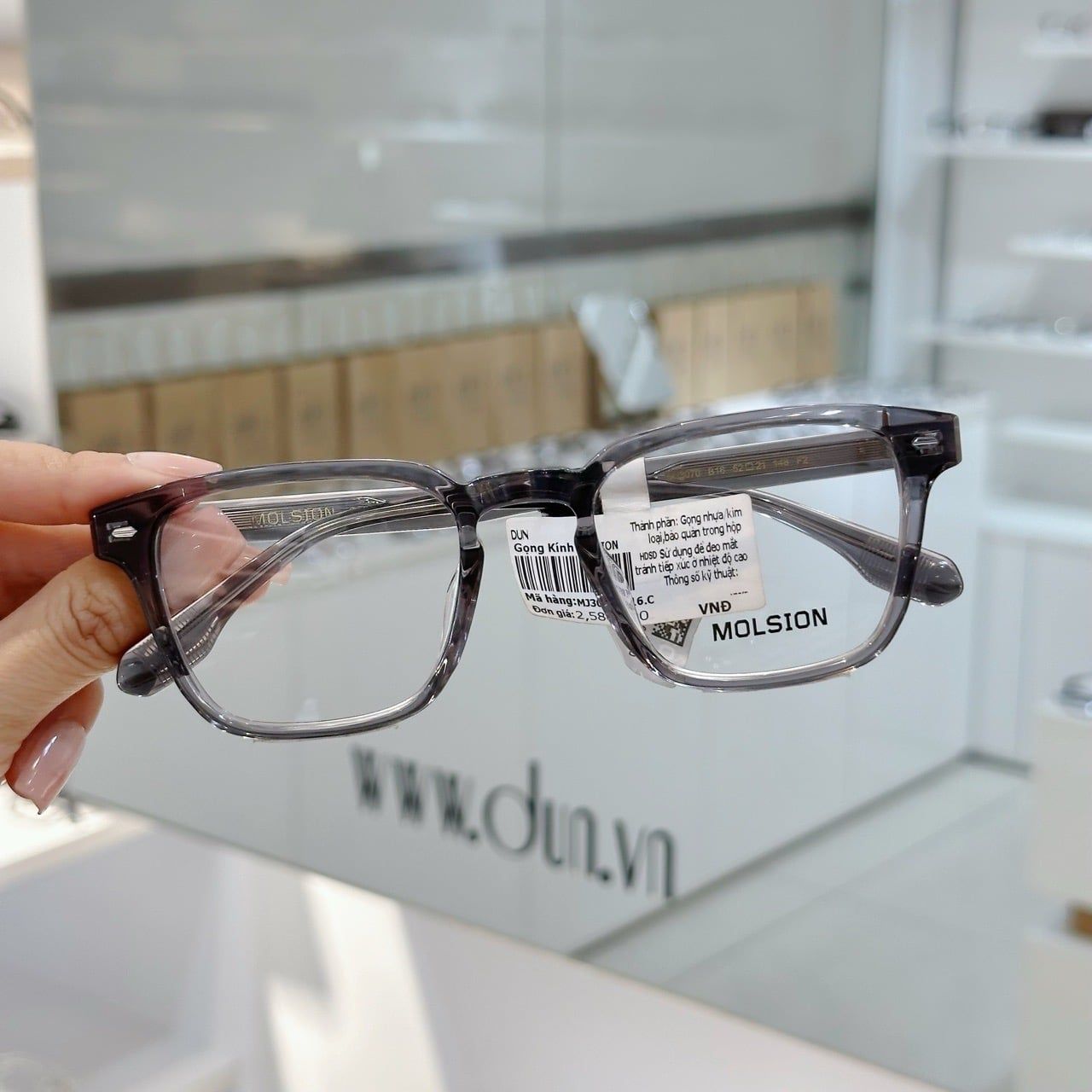  Mắt kính Molsion MJ 3070 