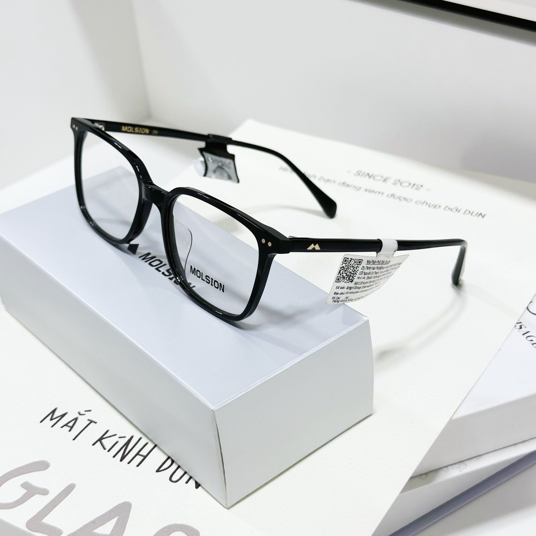  Mắt kính Molsion MJ 3029 