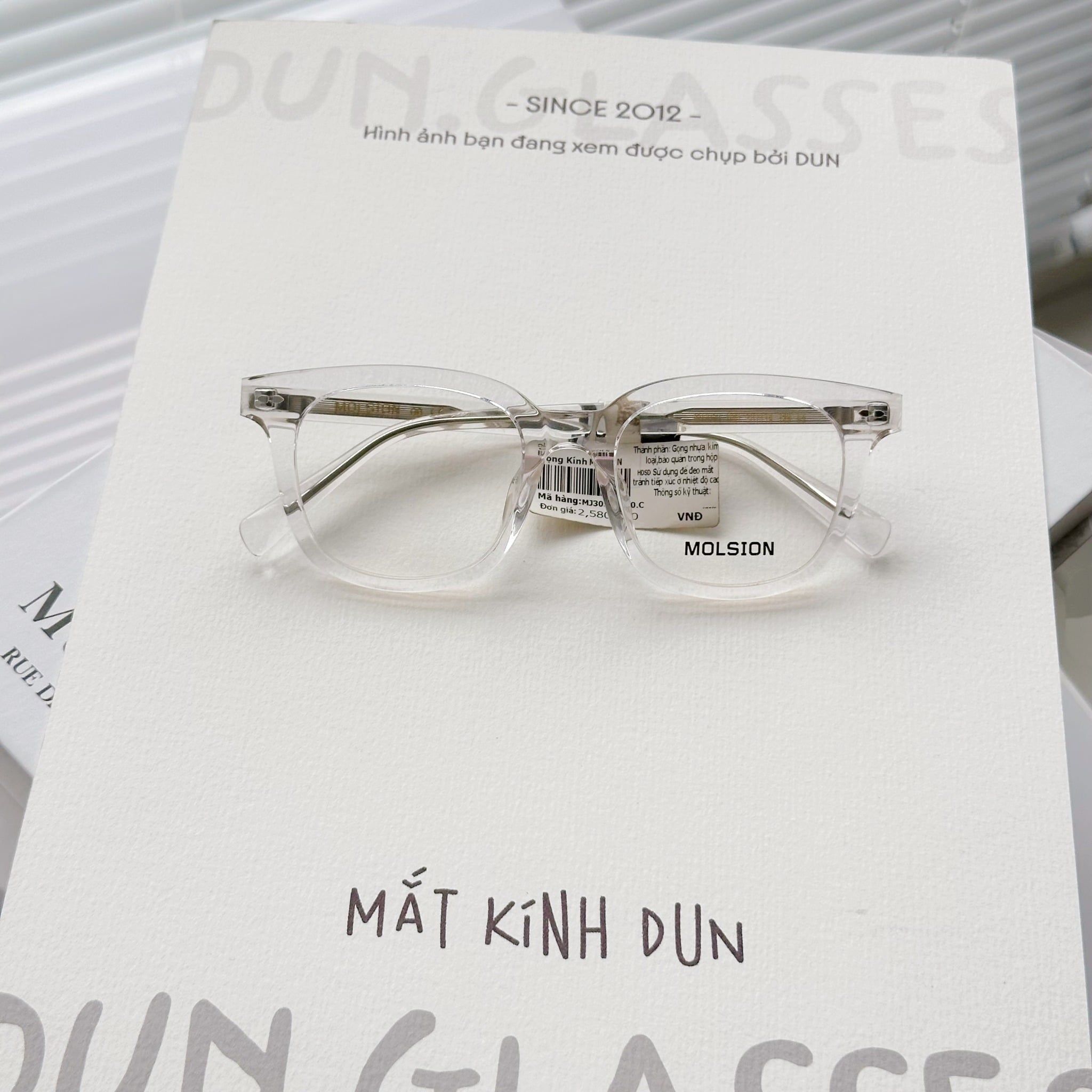  Mắt kính Molsion MJ 3050 