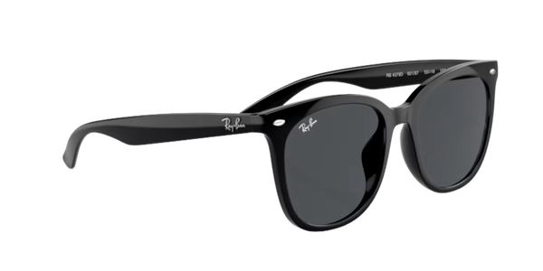  Kính mát RayBan 0RB 4379D 
