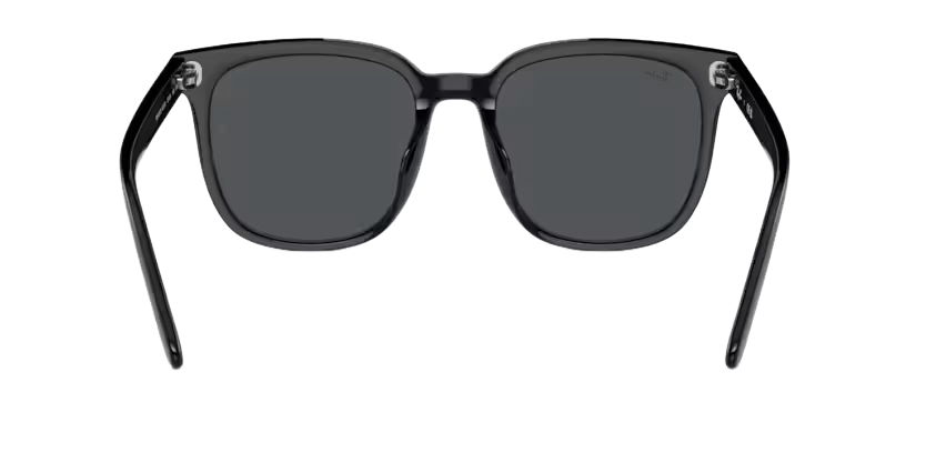  Kính mát Rayban 0RB 4401 D 