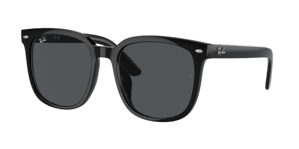  Kính mát Rayban 0RB 4401 D 