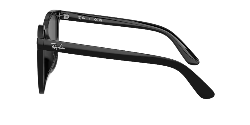  Kính mát Rayban 0RB 4401 D 