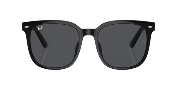  Kính mát Rayban 0RB 4401 D 