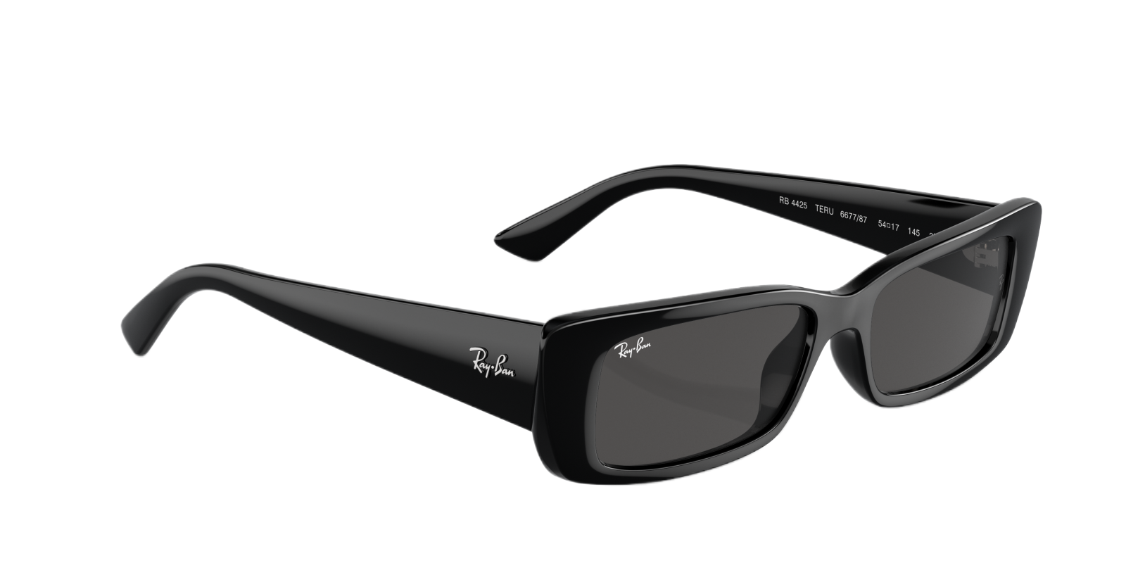  Kính mát TERU BIO-BASED Rayban 0RB 4425 F 