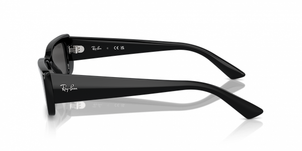  Kính mát TERU BIO-BASED Rayban 0RB 4425 F 