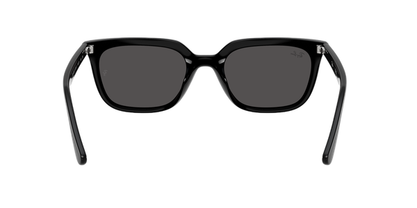  Kính mát Rayban 0RB 4439 D 