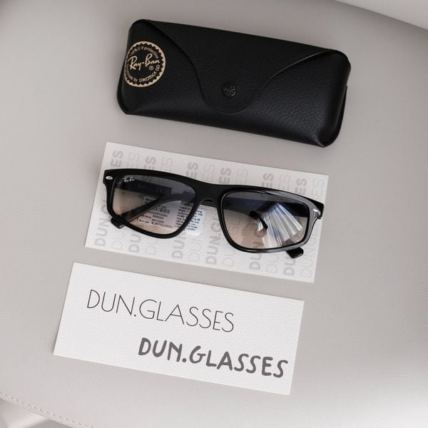  Kính mát Ray-Ban RB 2225 