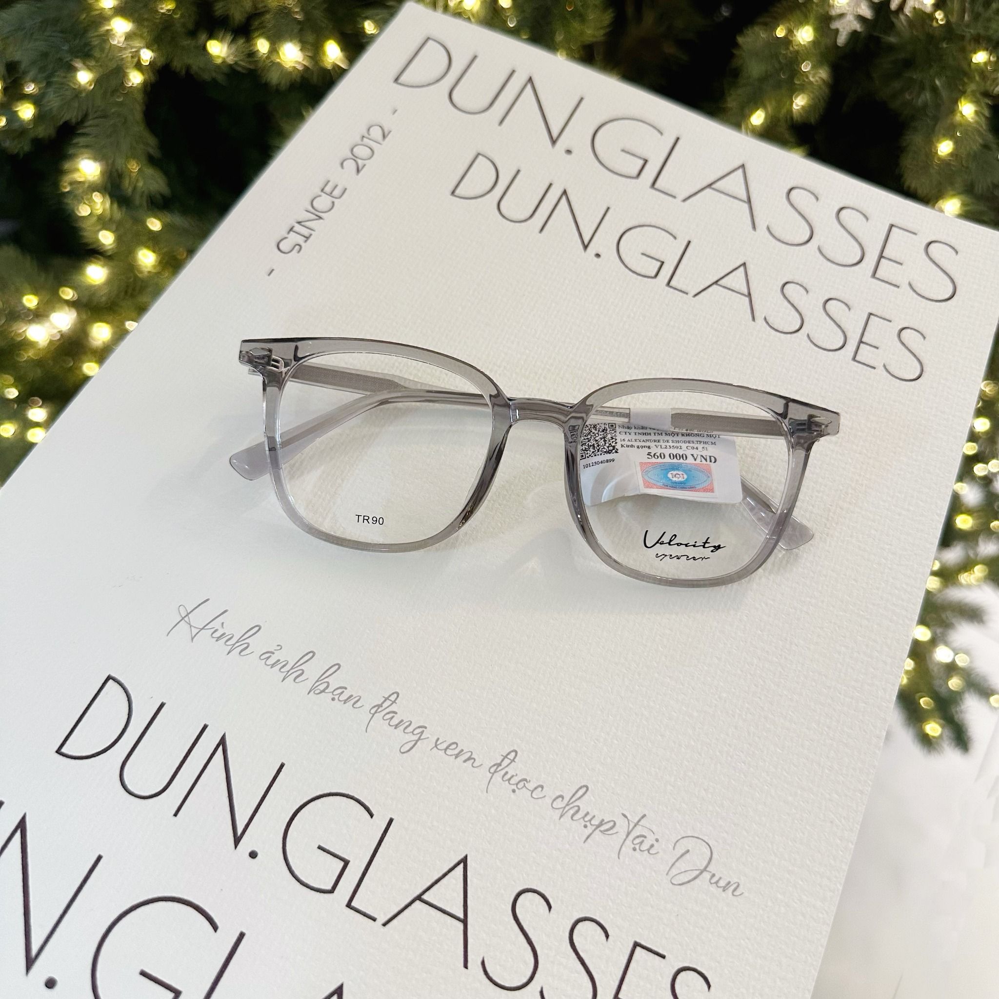  Mắt kính Velocity VL 23502 