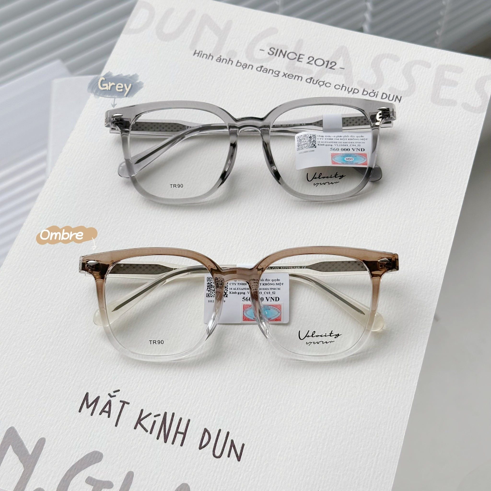  Mắt kính TR90 Velocity VL 23503 
