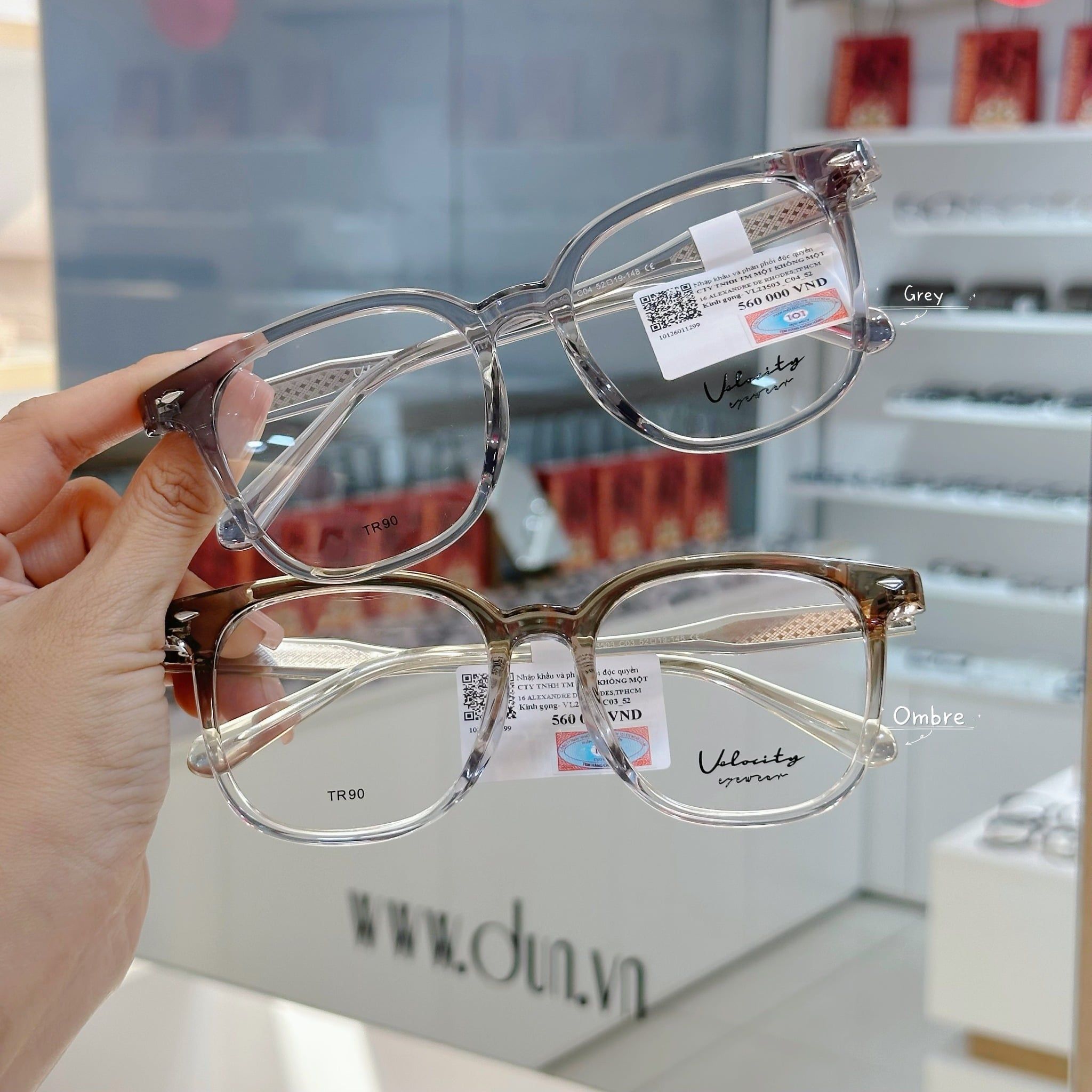  Mắt kính TR90 Velocity VL 23503 