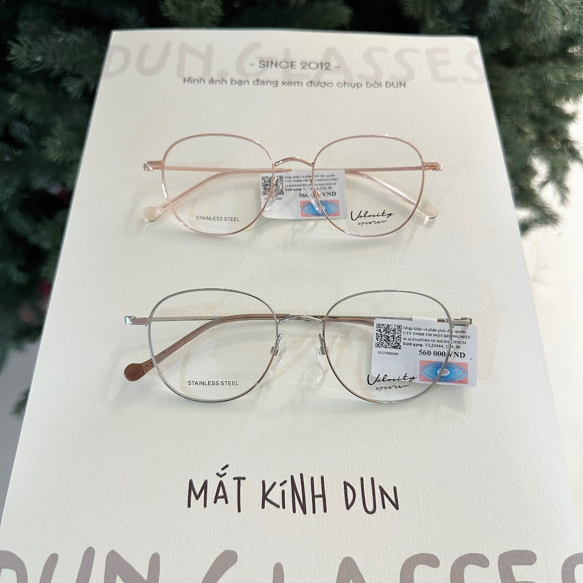  Mắt kính Velocity VL 23564 