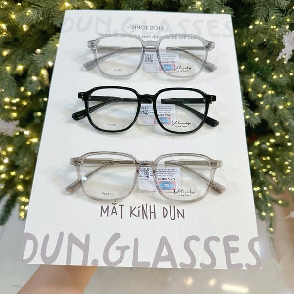  Mắt kính Velocity VL 23573 