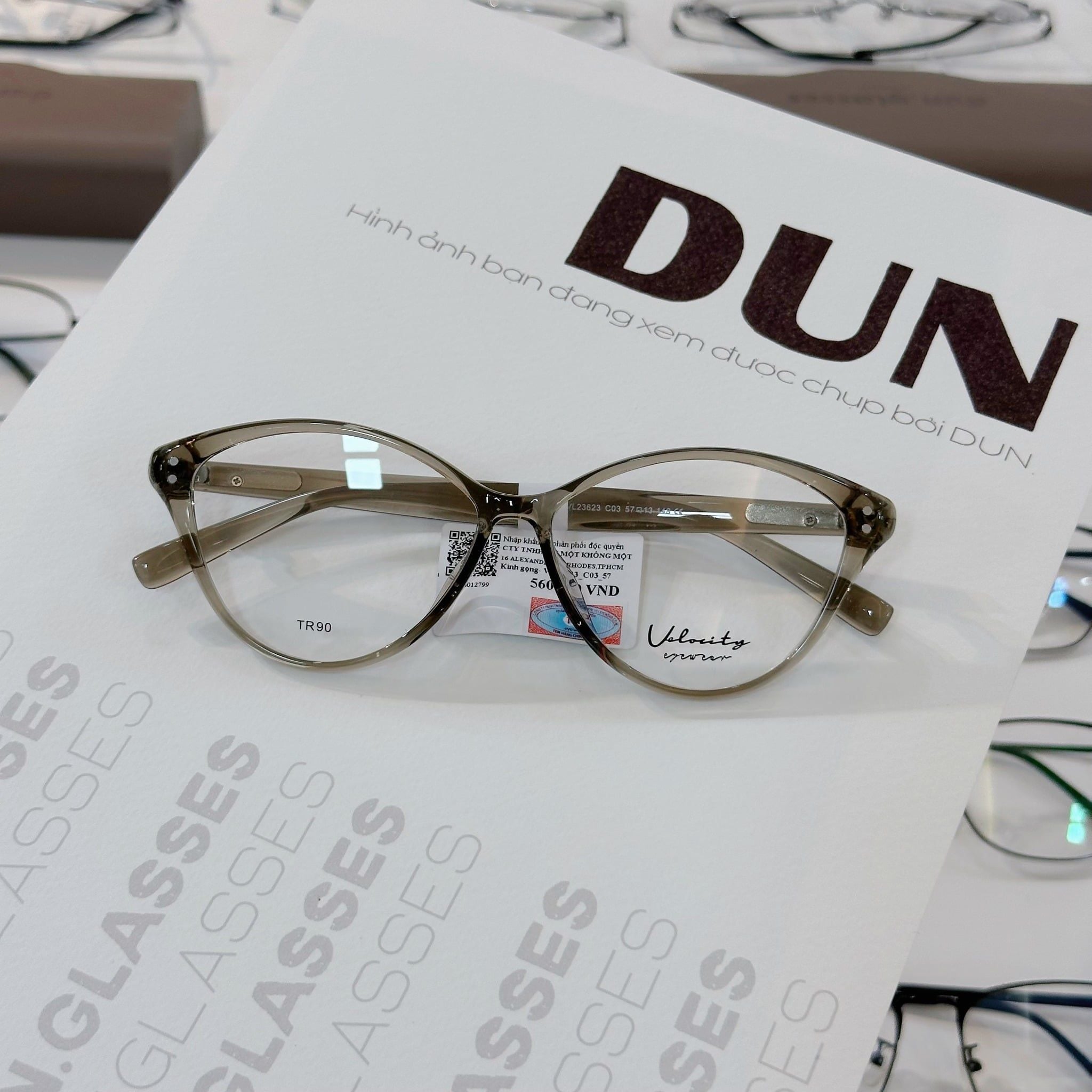  Mắt kính Velocity VL 23623 