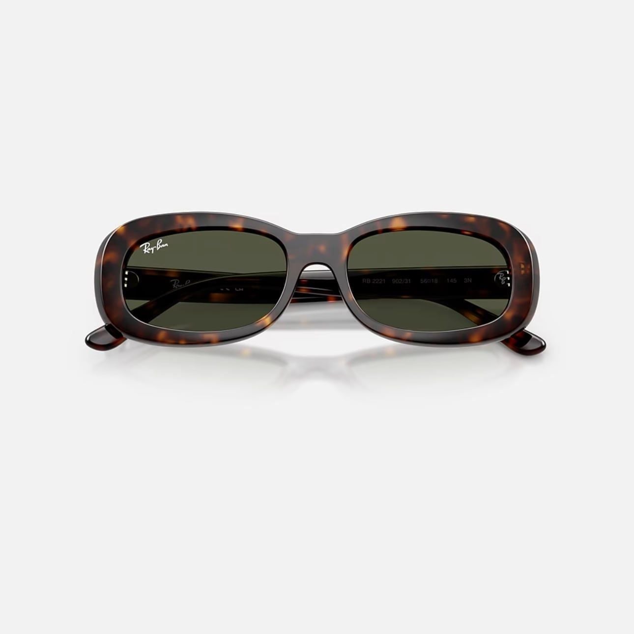  Kính mát Ray-Ban RB 2221 F 