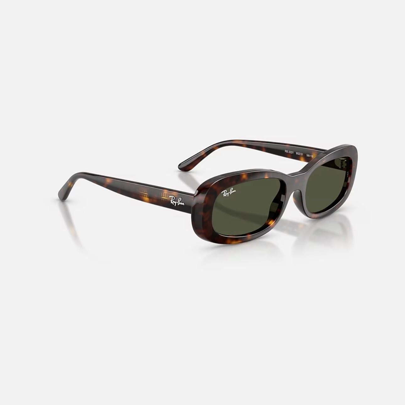 Kính mát Ray-Ban RB 2221 F 