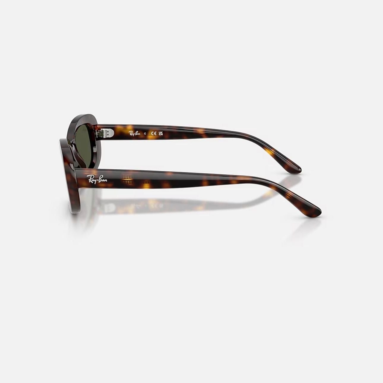  Kính mát Ray-Ban RB 2221 F 