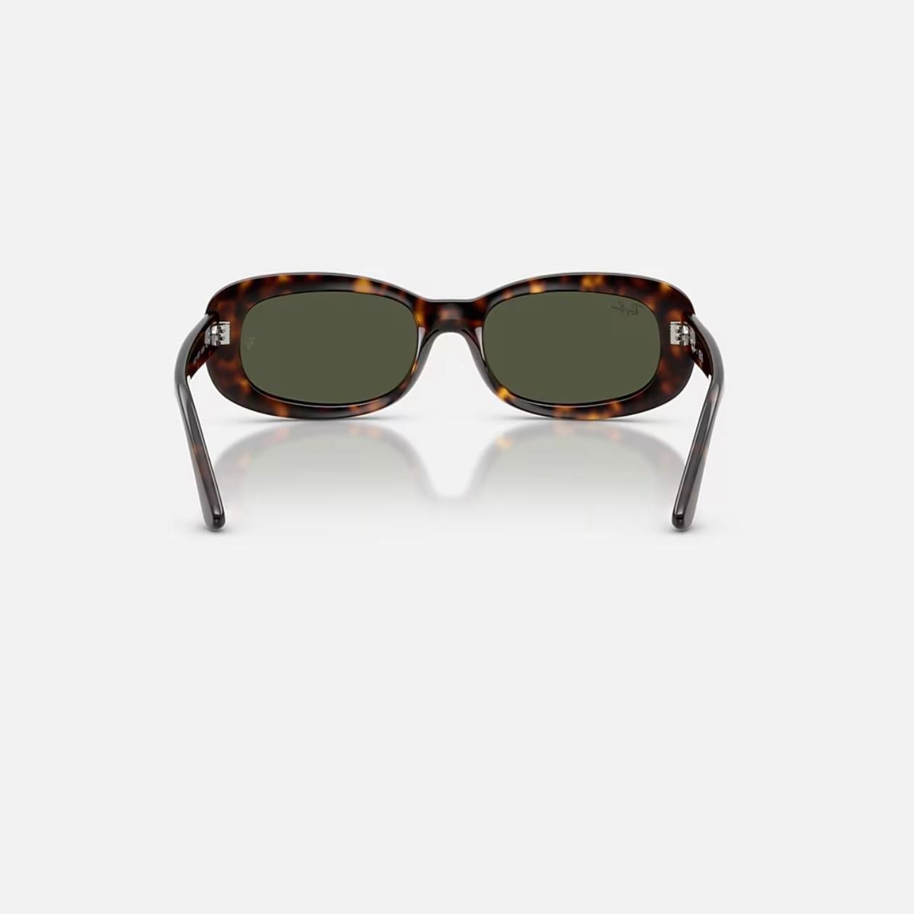  Kính mát Ray-Ban RB 2221 F 