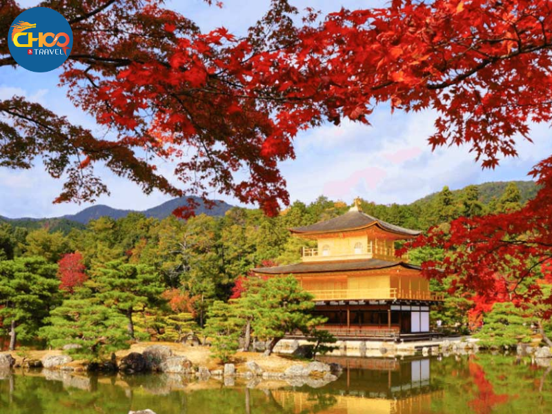 OSAKA – KYOTO - YAMANASHI – TOKYO