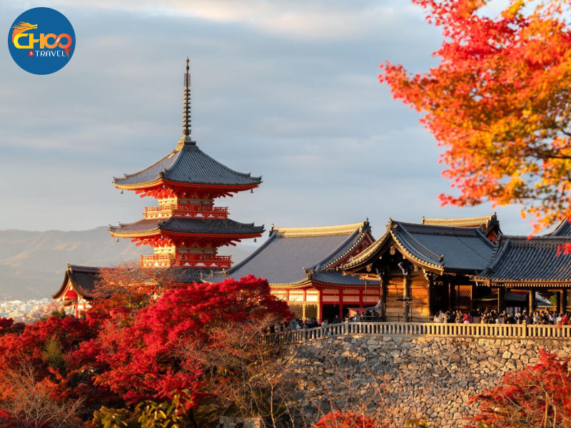 NARA – OSAKA – KYOTO – NAGOYA – PHÚ SĨ – TOKYO