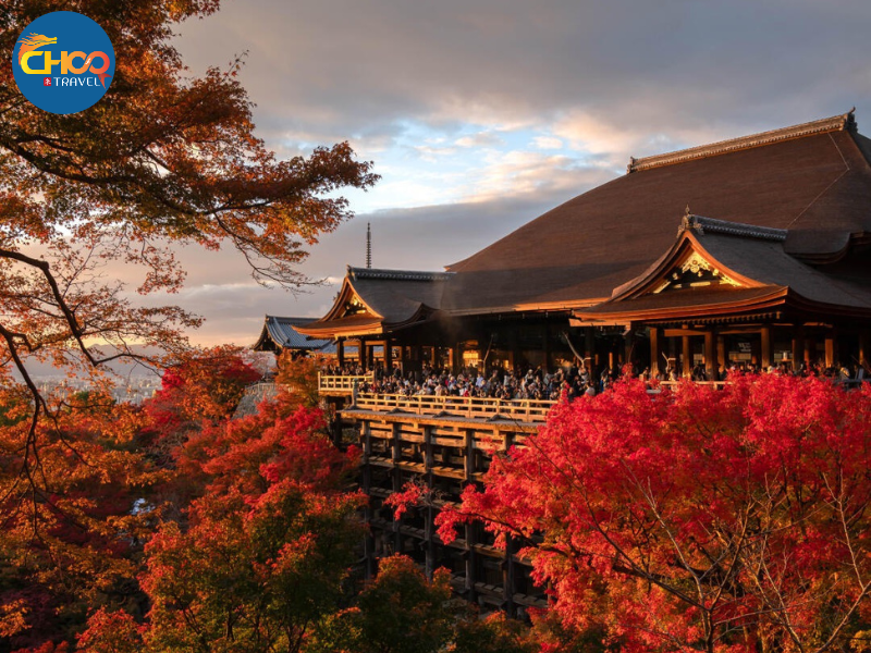 NARA – OSAKA – KYOTO – NAGOYA – PHÚ SĨ – TOKYO