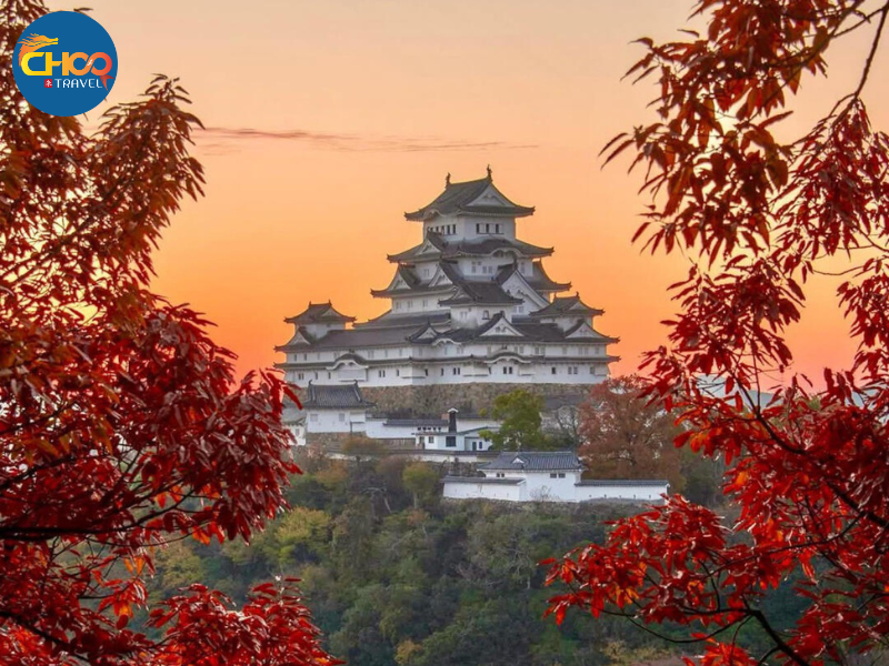 NARA – OSAKA – KYOTO – NAGOYA – PHÚ SĨ – TOKYO