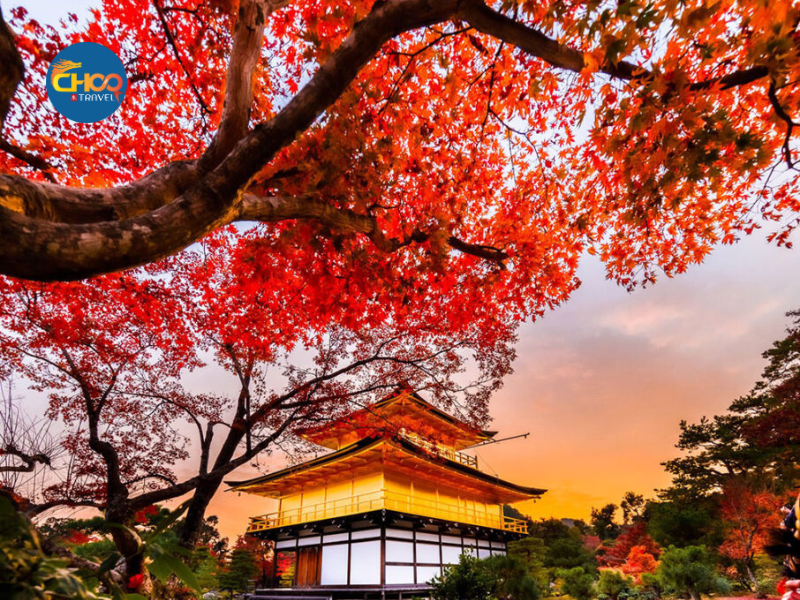 CUNG ĐƯỜNG VÀNG NHẬT BẢN - Vietnam Airlines