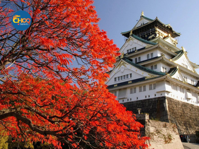 CUNG ĐƯỜNG VÀNG NHẬT BẢN - Vietnam Airlines