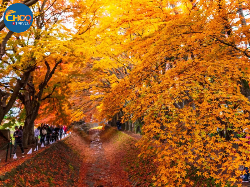 NARA – OSAKA – KYOTO – NAGOYA – PHÚ SĨ – TOKYO