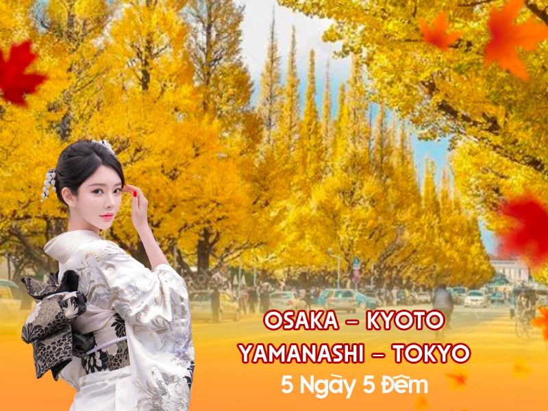 OSAKA – KYOTO - YAMANASHI – TOKYO