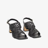 Giày Cao Gót Nữ PRIMADONNA 50002 