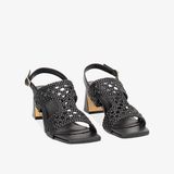  Giày Cao Gót Nữ PRIMADONNA 50002 