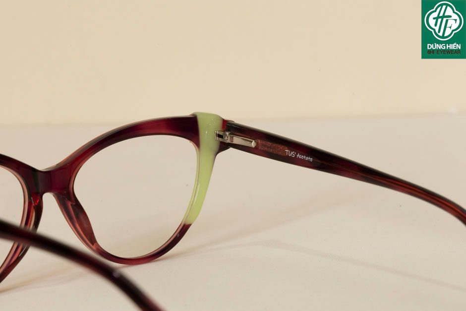  LM 6040 # Gọng nhựa Acetate Eyeglasses 