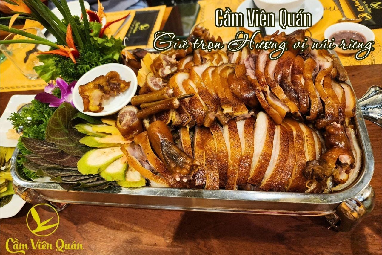  Cầy Hương – Đặc sản núi rừng hiếm lạ | Cầm Viên Quán 