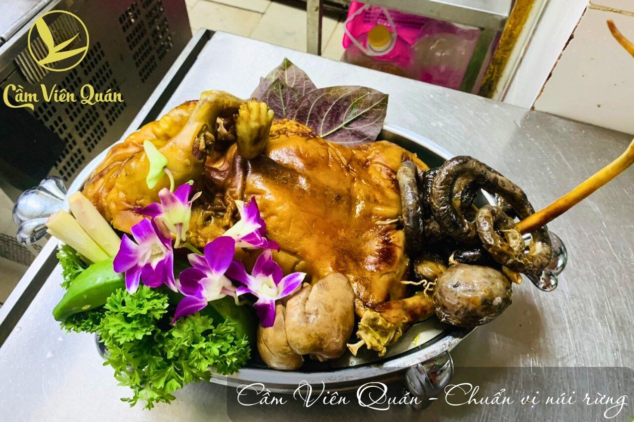  ĐẶC SẢN NÚI RỪNG CẦM VIÊN QUÁN – ĐỘC! LẠ! ẤN TƯỢNG! 