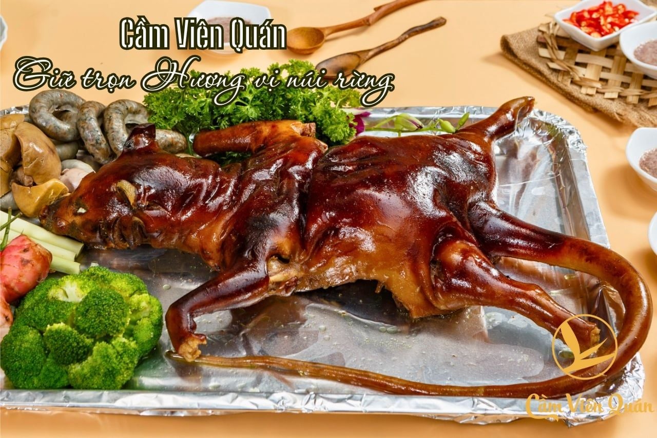  Cầy Hương – Đặc sản núi rừng hiếm lạ | Cầm Viên Quán 