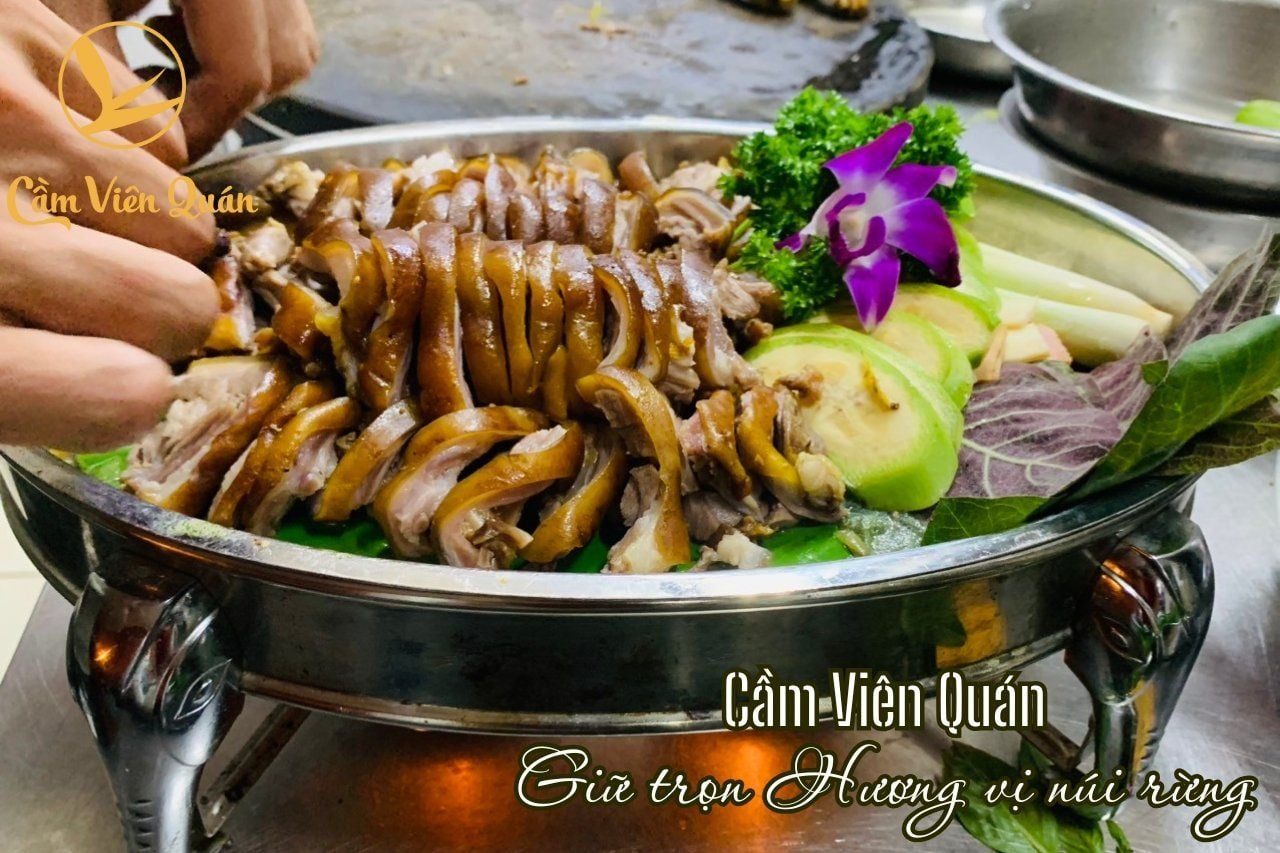  Cầy Hương – Đặc sản núi rừng hiếm lạ | Cầm Viên Quán 