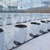  Bộ đầu nhỏ giọt bù áp 4l/h, cổng chia 2 