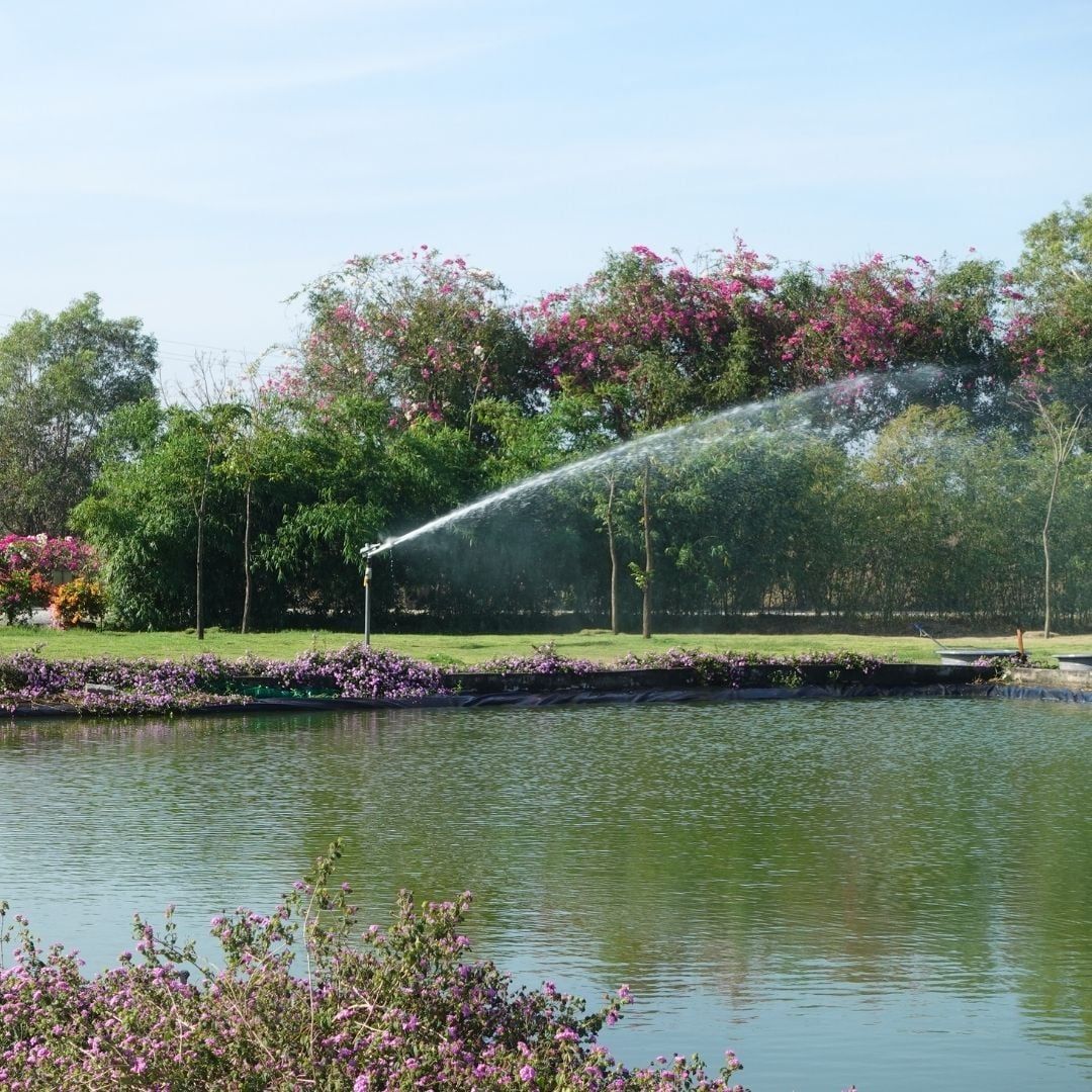  Béc tưới cánh đập 280 PC 