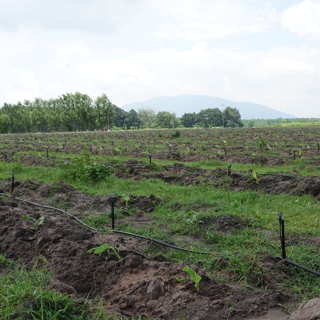  Béc Tưới Phun Mưa Bù Áp GAT 2016 