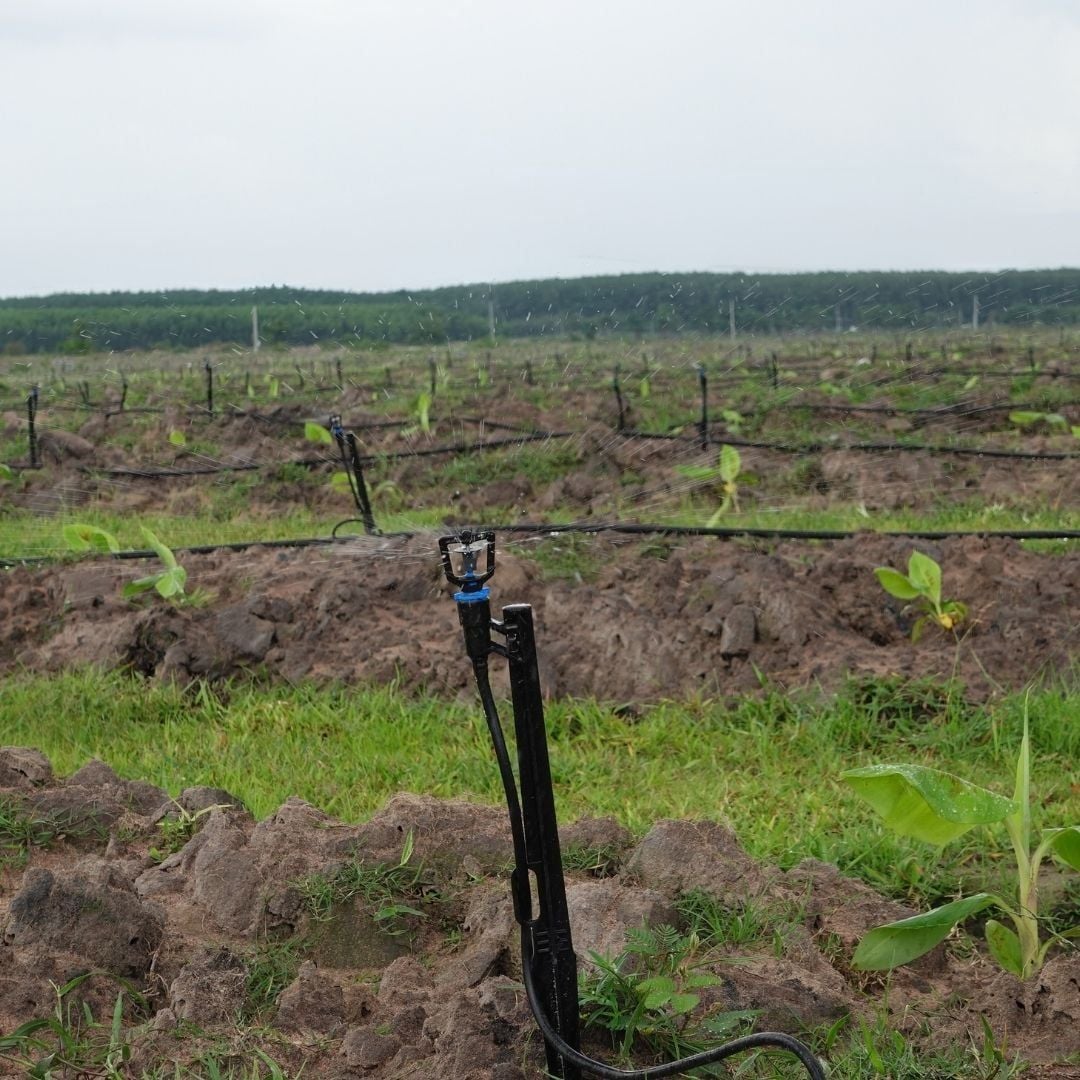  Béc Tưới Phun Mưa Bù Áp GAT 2016 