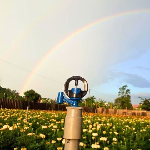 Béc tưới phun mưa AQUAMASTER