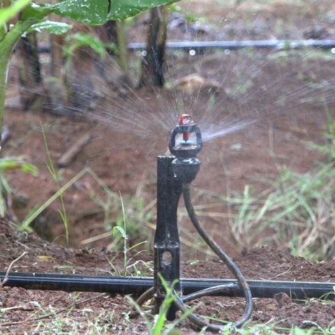 Bộ vòi phun bù áp GAT 2002 35l/h, Dây 4/7mm 60cm + cây cắm