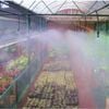  Béc tưới phun mưa nhà màng GREEN MIST 