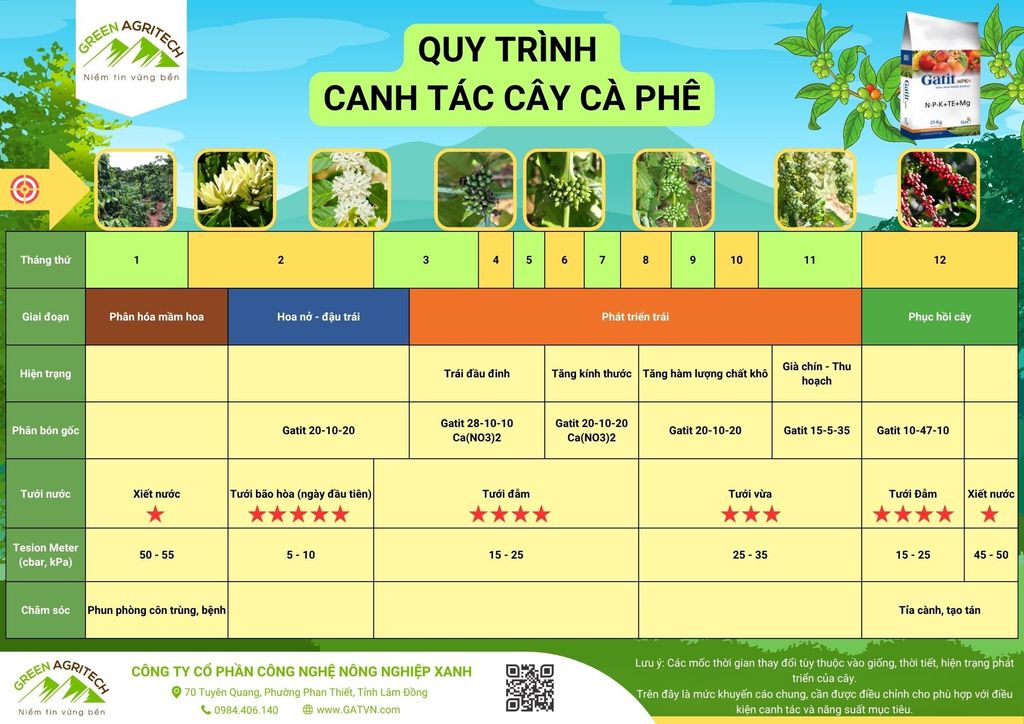  Quy trình canh tác cây Cà phê - Phân bón hòa tan Gatit 