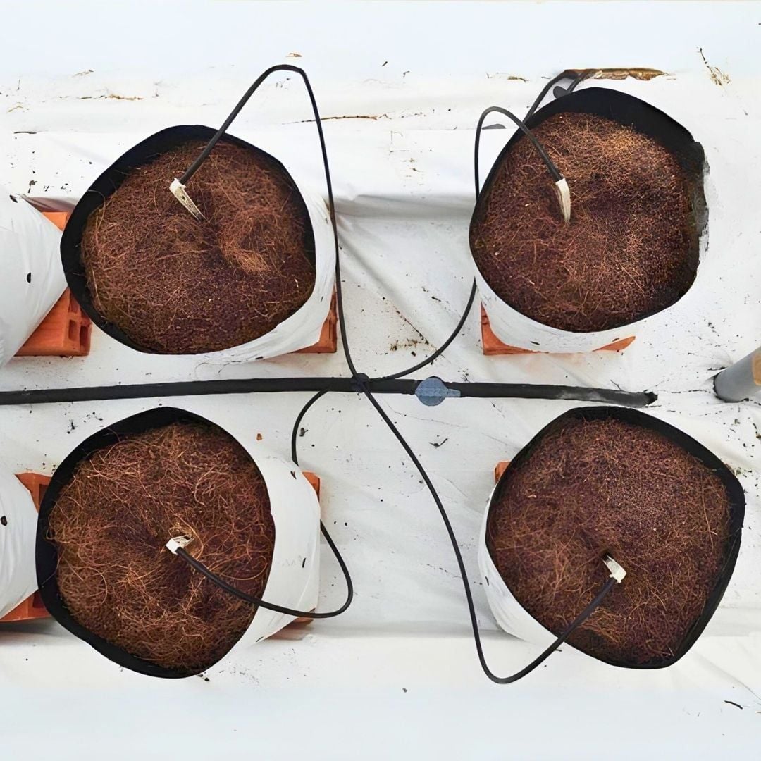  Đầu nhỏ giọt bù áp CLICKTIF 