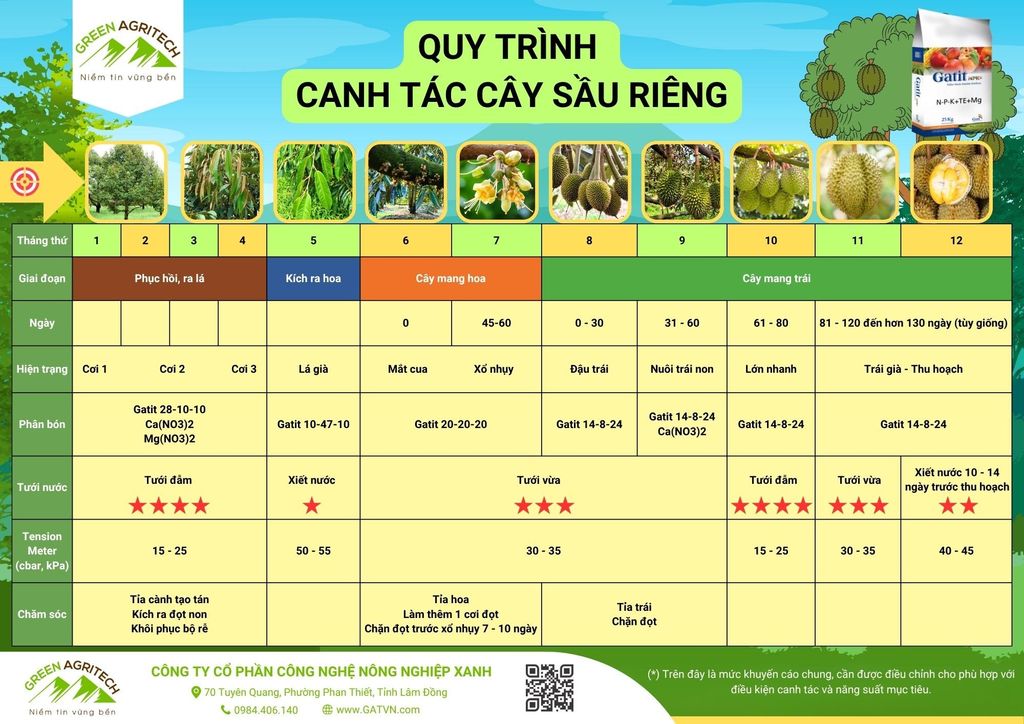  Quy trình canh tác cây sầu riêng - Phân bón hòa tan Gatit 